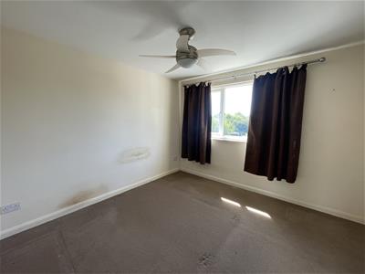 Picture 13